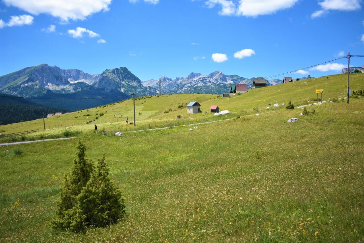 Деревянный коттедж Durmitor View Жабляк